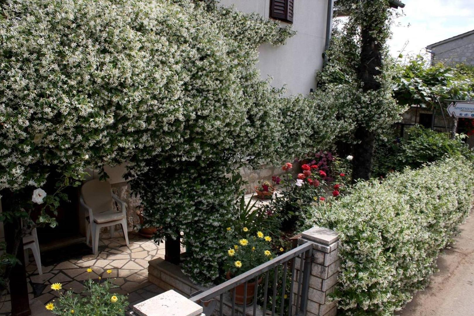 Anamarija Apartments Near The Beach And The Fantastic Adria Sea With Over 10 Small Islands Close By Funtana Esterno foto